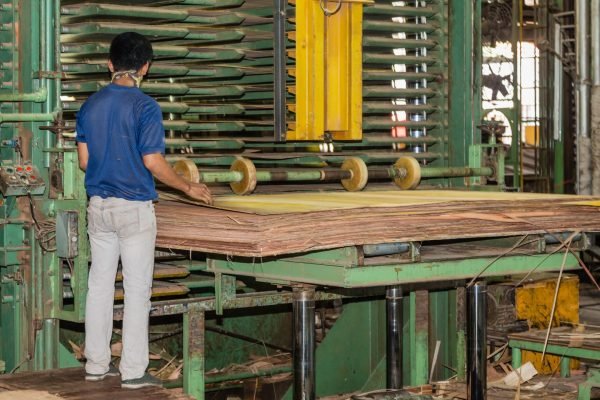 Sandakan,,Sabah,-,March,28,2016:,Feeding,The,Vertical,Plywood Sandakan,,Sabah,-,March,28,2016:,Feeding,The,Vertical,Plywood